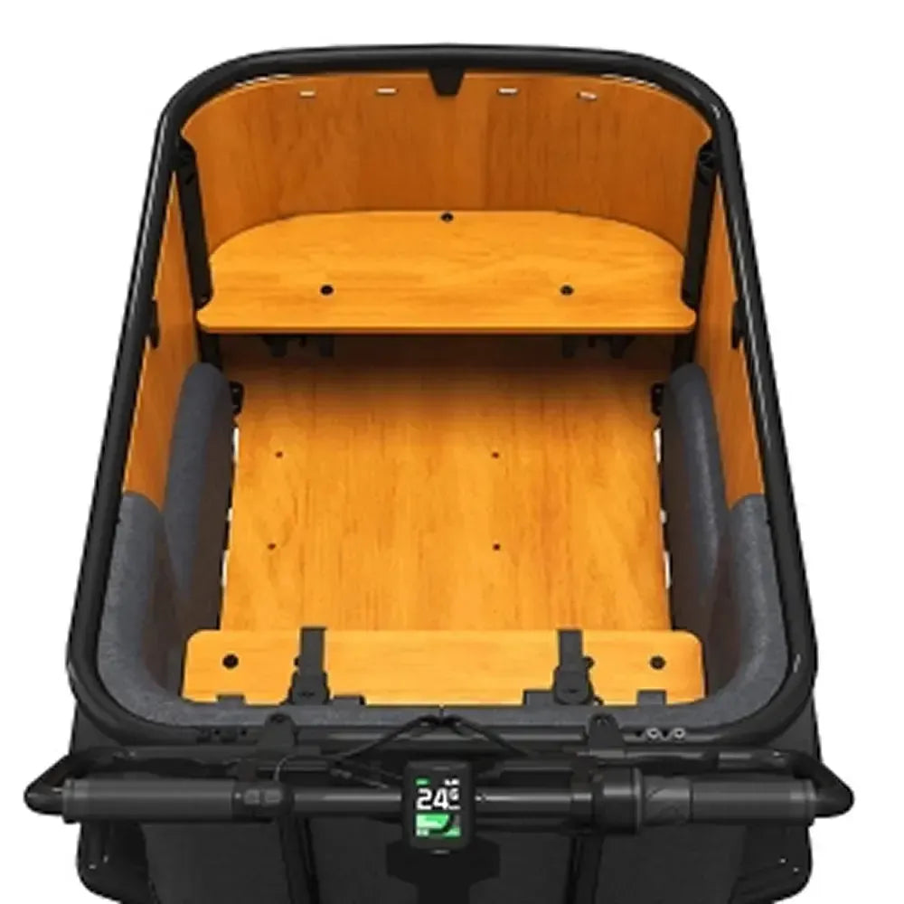 Cangoo Buckle Up - Zwart