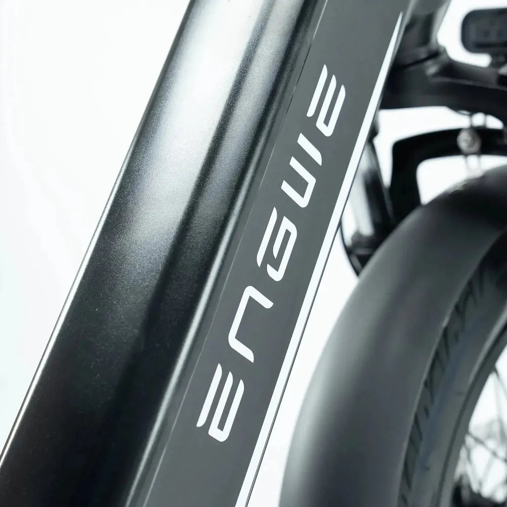 ENGWE L20 3.0 Pro - Zwart