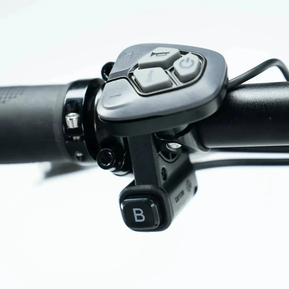 ENGWE L20 3.0 Pro - Zwart