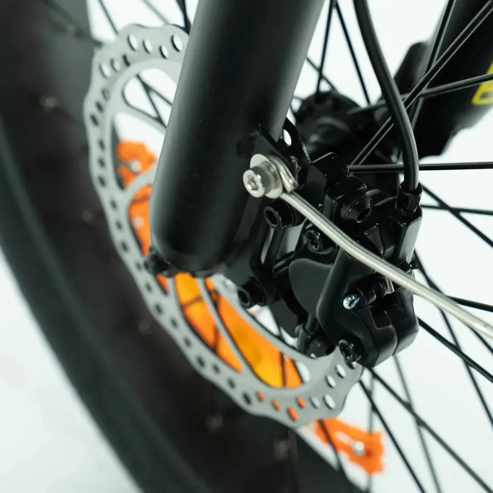 ENGWE L20 3.0 Pro - Zwart