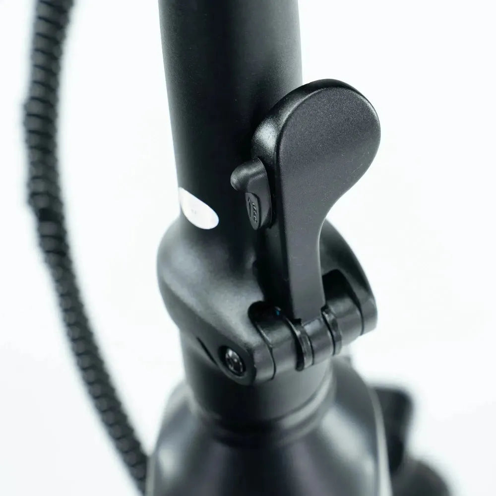 ENGWE L20 3.0 Pro - Zwart