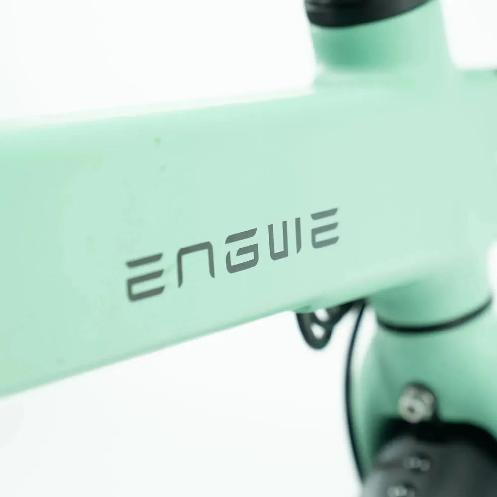 ENGWE P20 - Groen