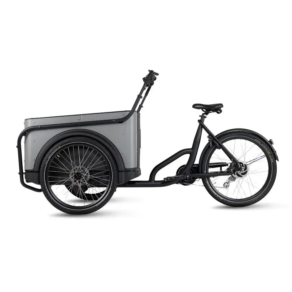 Royal Cargo Bike 3W Eco - Grijs