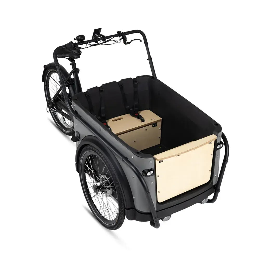 Royal Cargo Bike 3W Eco - Grijs