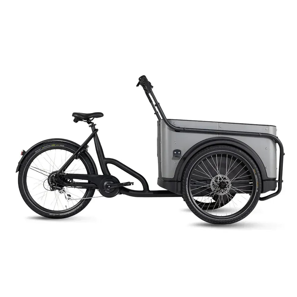 Royal Cargo Bike 3W Eco - Grijs