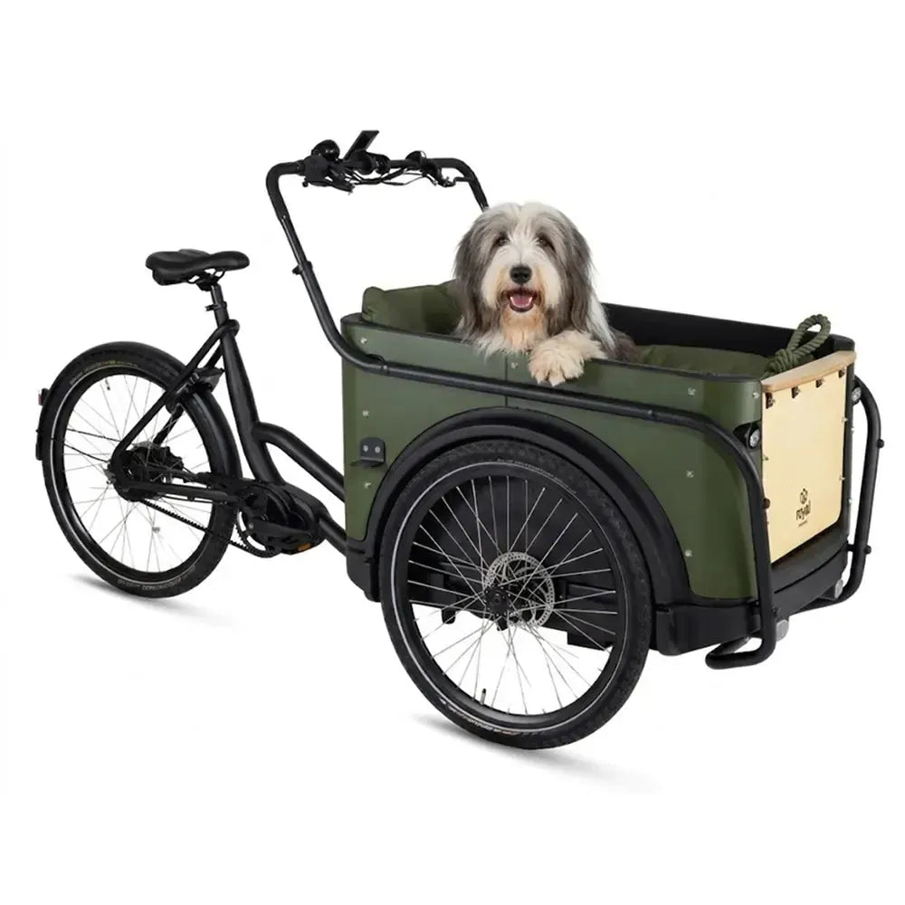 Royal Cargo Bike 3W Premium Plus - Groen