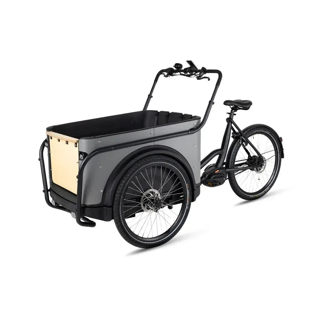 Royal Cargo Bike 3W Premium Plus - Taupe grijs