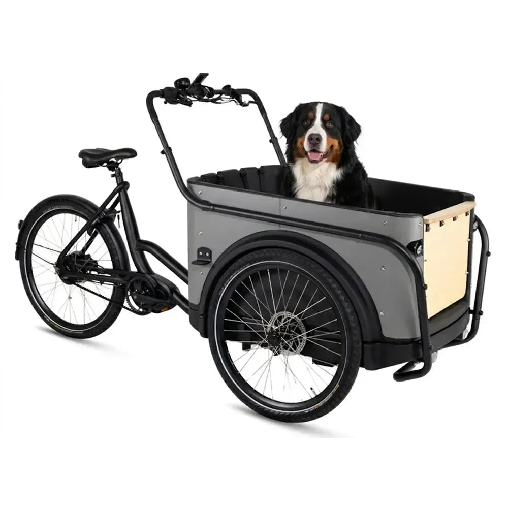 Royal Cargo Bike 3W Premium Plus - Taupe grijs