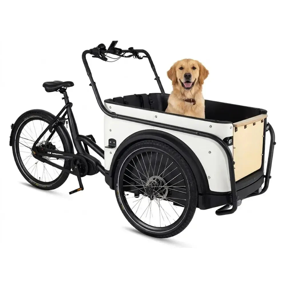 Royal Cargo Bike 3W Premium - Blanc