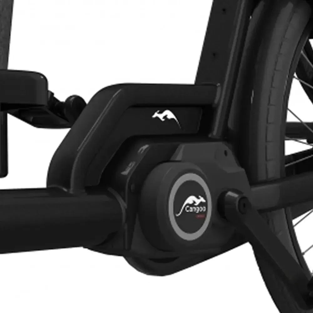 Cangoo Buckle Up - Zwart
