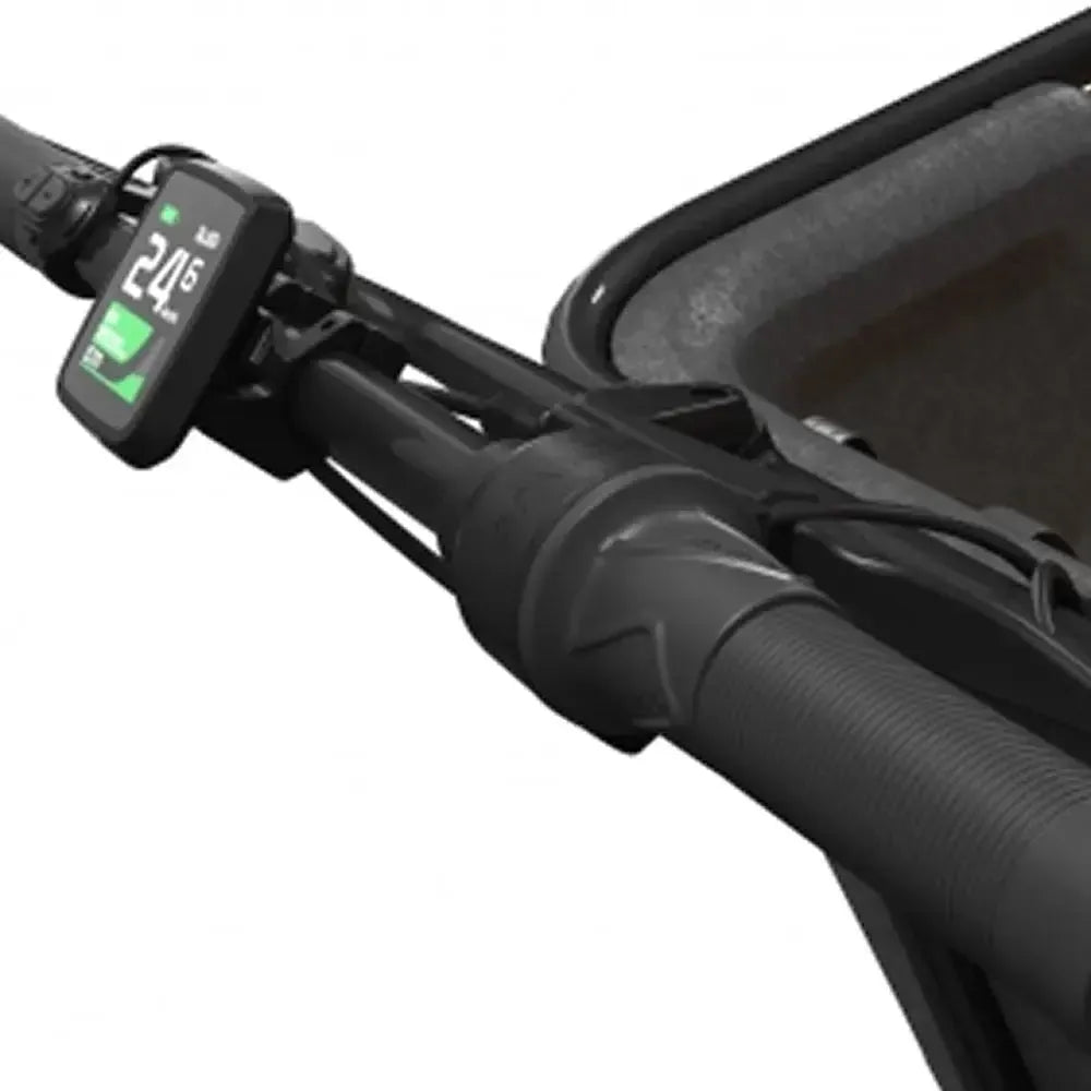 Cangoo Buckle Up - Zwart