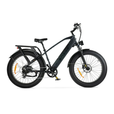 Fatbikes