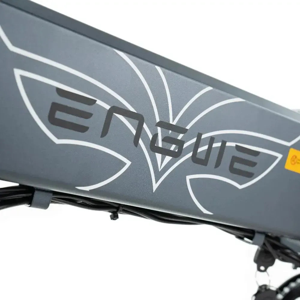 ENGWE EP 2 Pro - Gris