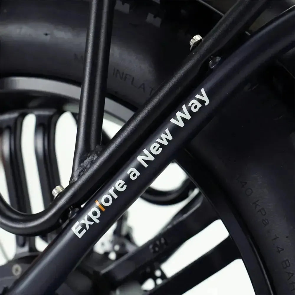 ENGWE L20 Boost - Zwart