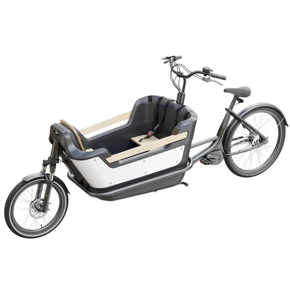 Royal Cargo Bike 2W Premium - Groen