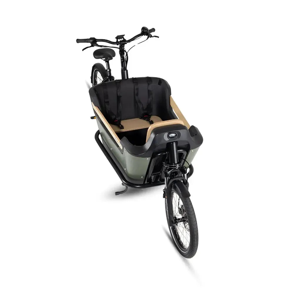 Royal Cargo Bike 2W Premium Plus - Vert