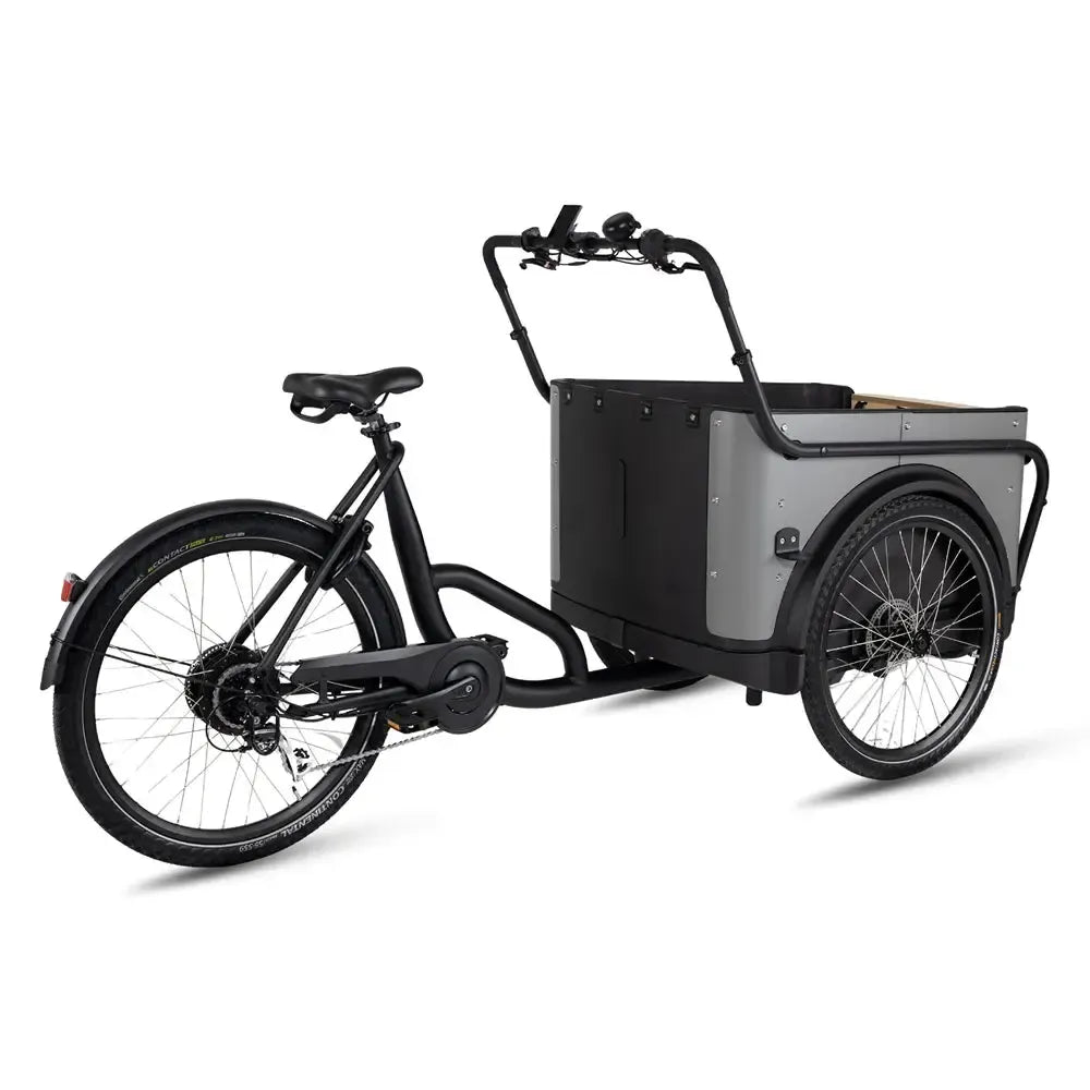 Royal Cargo Bike 3W Eco - Grijs