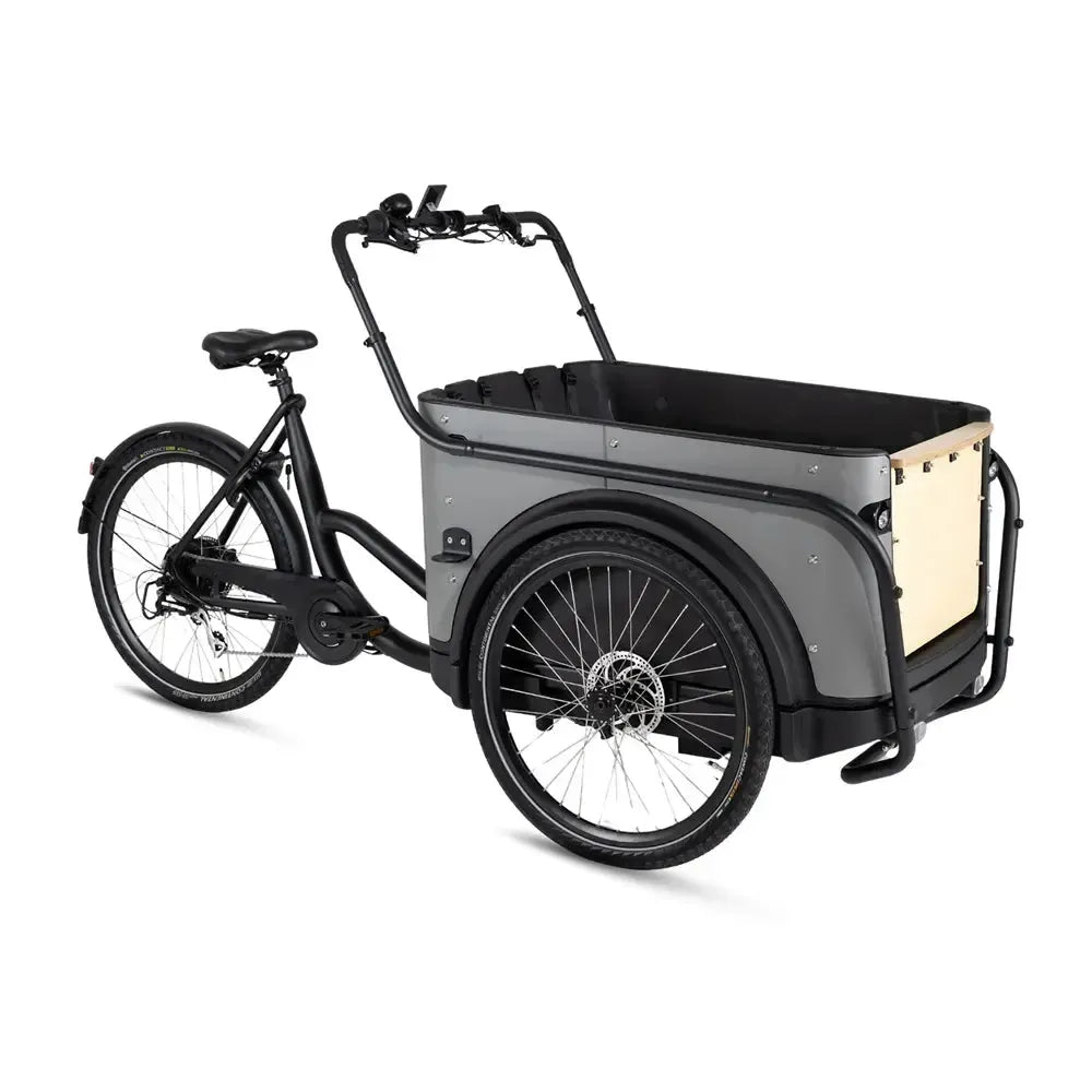 Royal Cargo Bike 3W Eco - Grijs