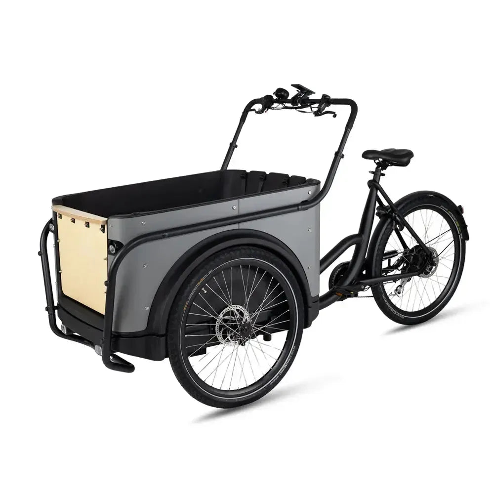 Royal Cargo Bike 3W Eco - Grijs