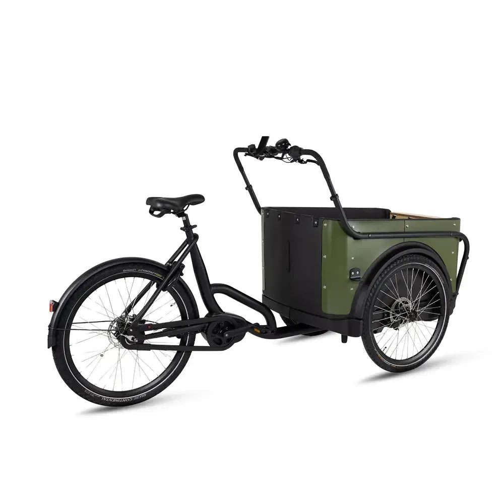 Royal Cargo Bike 3W Premium - Groen