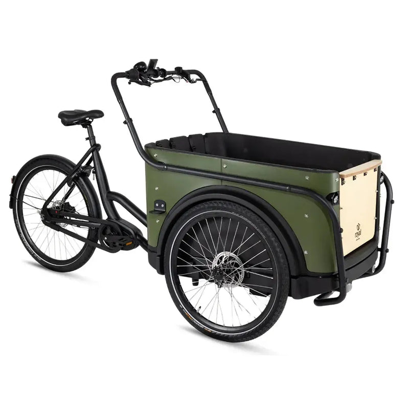Royal Cargo Bike 3W Premium - Groen