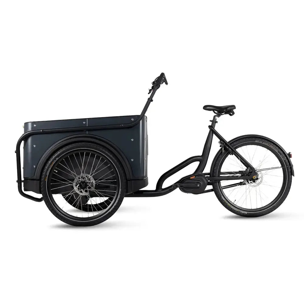 Royal Cargo Bike 3W Premium Plus - Antraciet