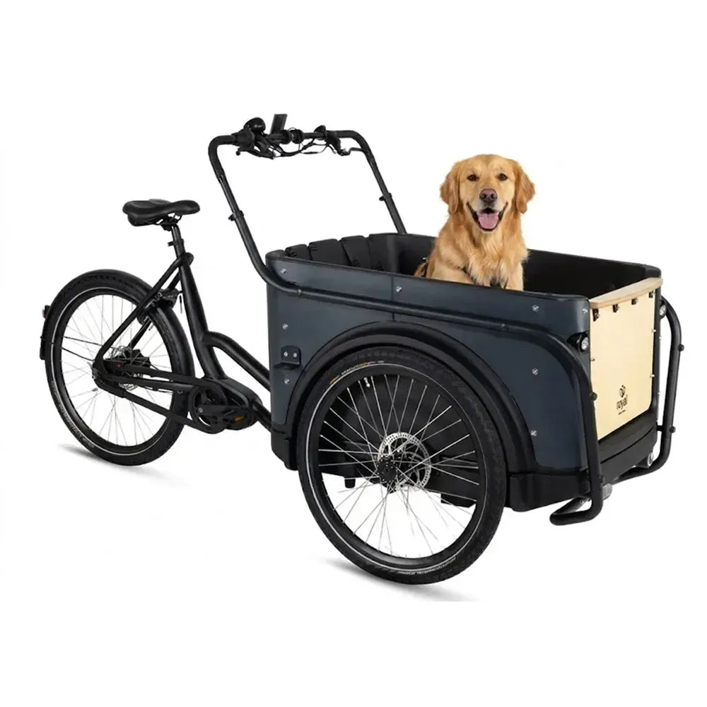 Royal Cargo Bike 3W Premium Plus - Antraciet