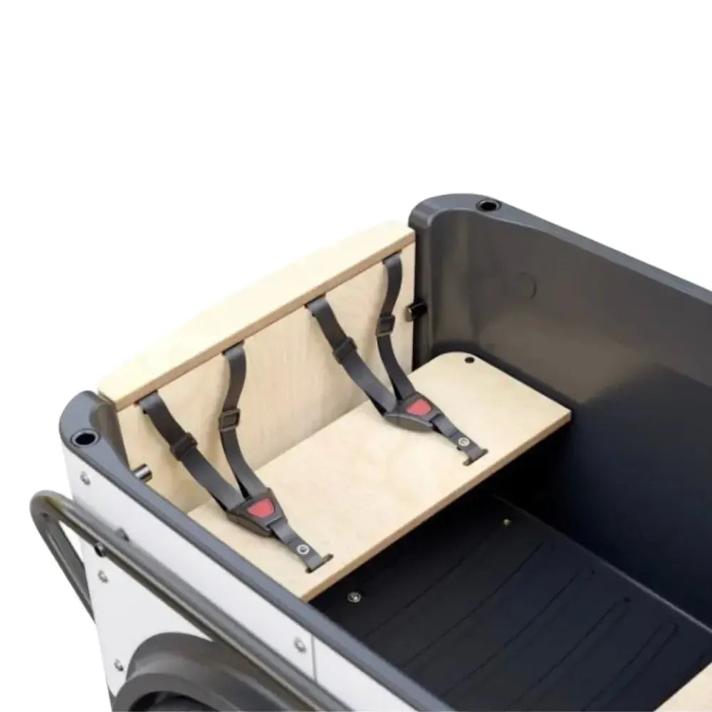 Royal Cargo Bike 3W Premium Plus - Groen