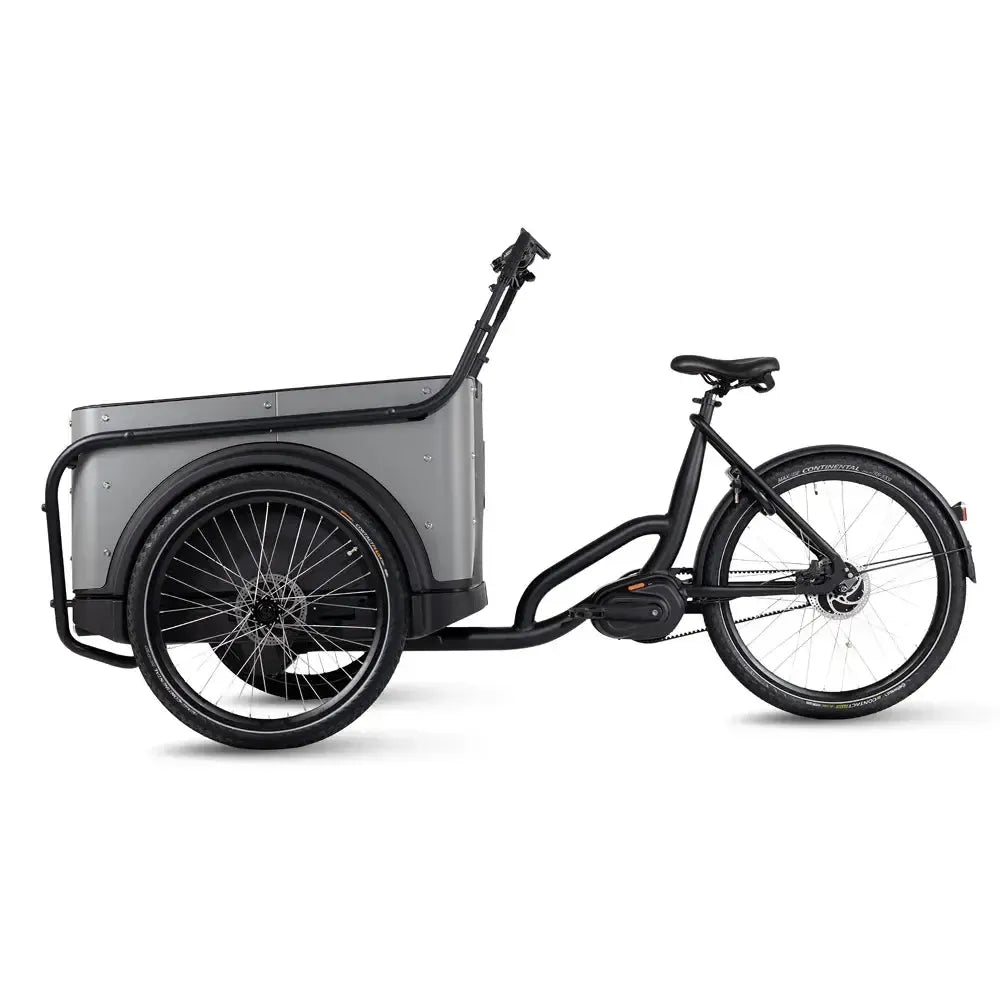 Royal Cargo Bike 3W Premium Plus - Taupe gris