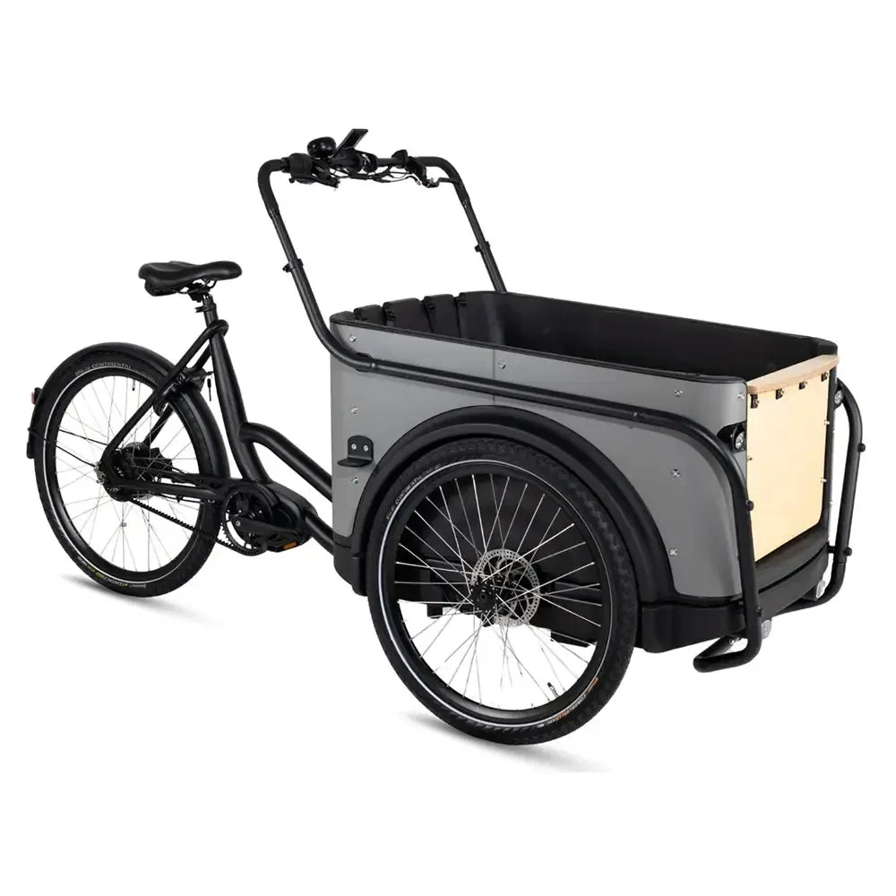 Royal Cargo Bike 3W Premium Plus - Taupe gris
