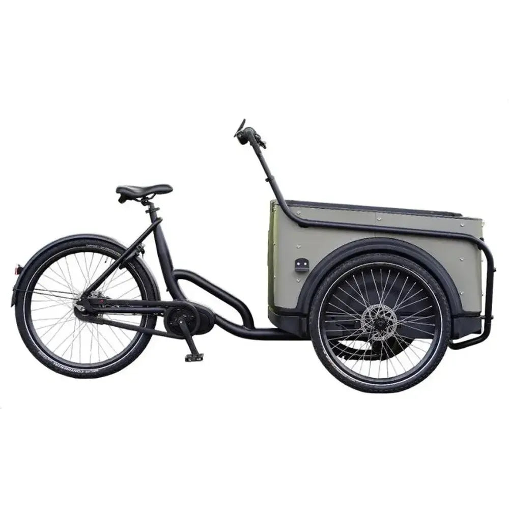 Royal Cargo Bike 3W Premium Plus - Taupe gris