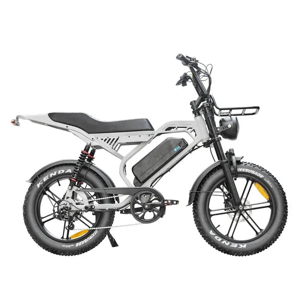 S20 Pro - Gris clair (V20)