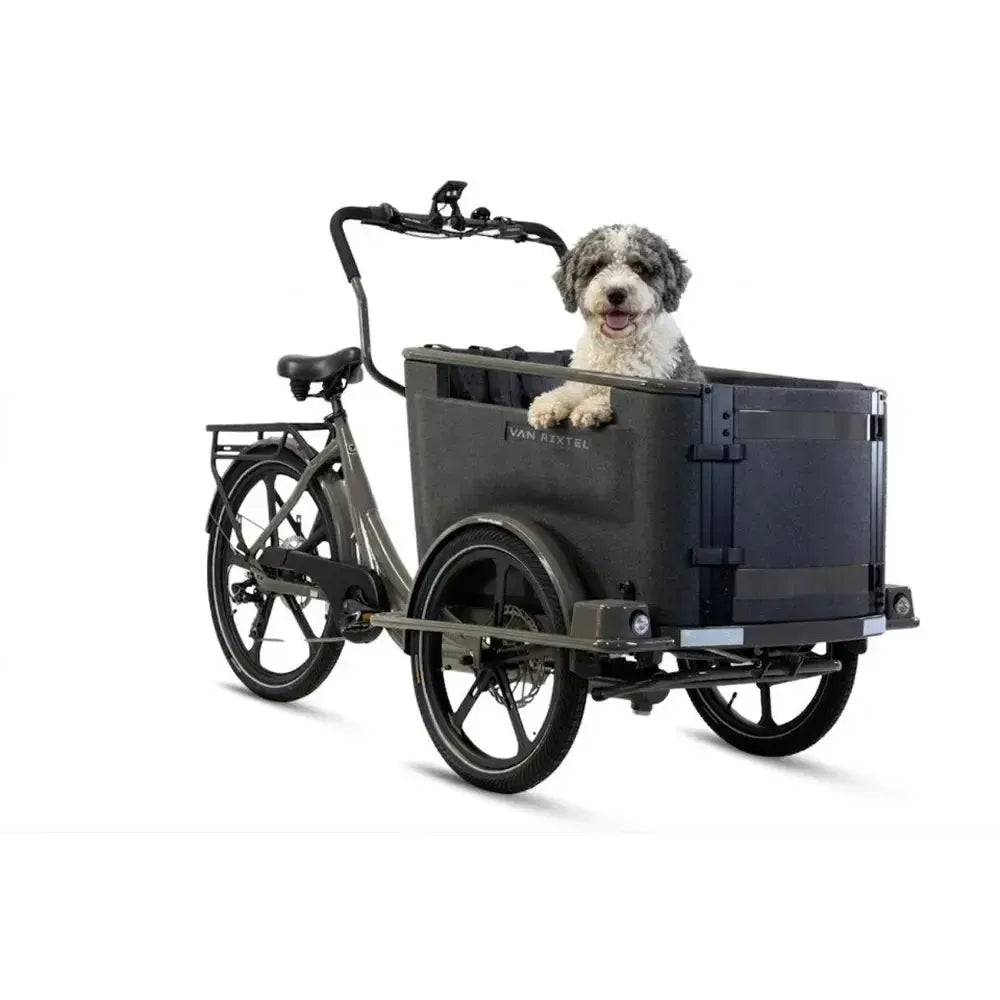 Van Rixtel Dog - Graphite