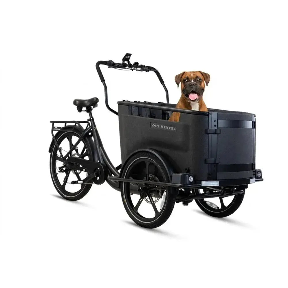 Van Rixtel Dog - Midnight black
