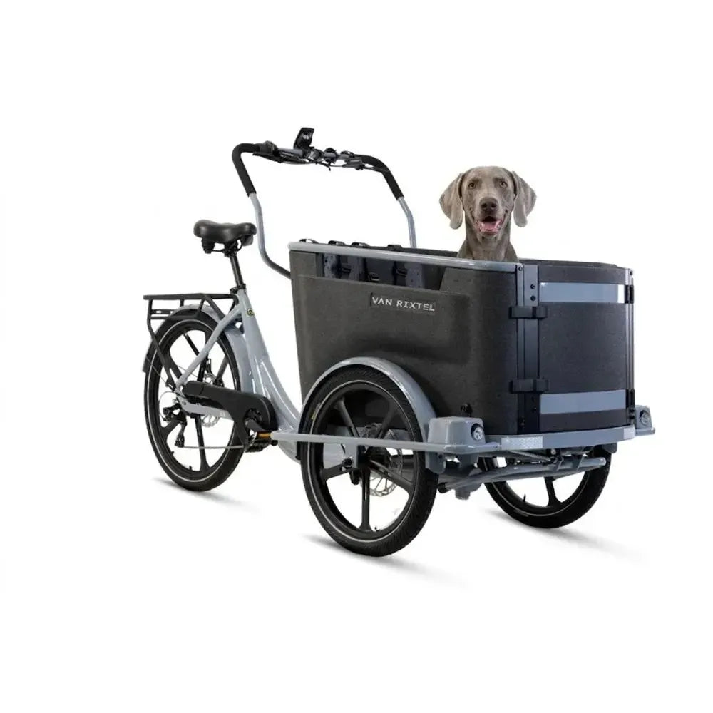 Van Rixtel Dog - Gris Nardo