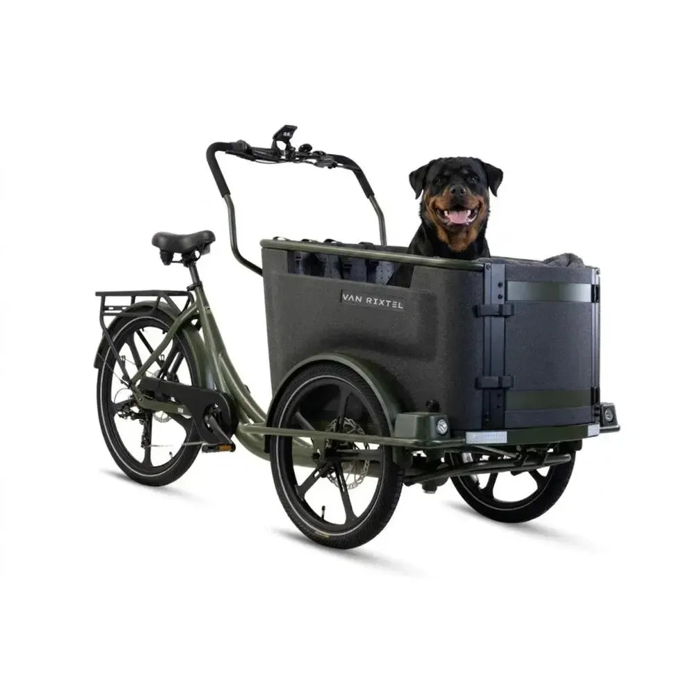 Van Rixtel Dog - Vert olive